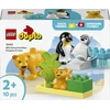 LEGO® DUPLO Laukinių gyvūnų šeimos: pingvinai ir liūtai (10442)