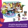 LEGO® Friends Peizlės kambarys (42647)