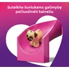 LEGO® Friends Šuniukų žaidimų aikštelė Rinkinys 42665
