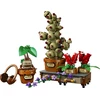 LEGO® Harry Potter™ Hogvartso herbalogijos augalai 76474