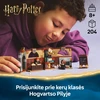 LEGO® Harry Potter Hogvartso pilis: kerų klasė (76442)