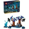 LEGO® Harry Potter™ Uždraustasis miškas: Expecto Patronum 76475