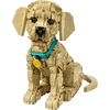 LEGO® Icons Auksaspalvių retriverių šuniukas Figūrėlė 11384