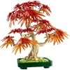 LEGO® Botanicals Japoninio raudonojo klevo bonsas (10348)