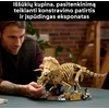 LEGO® Jurassic World Dinozaurų fosilijos: triceratopsas 77985
