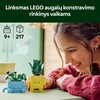 LEGO® Linksmi augalai
