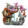 LEGO® NINJAGO Akmeninė drakono šventovė (71819)