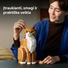 LEGO® Oranžinė katė