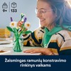 LEGO Botanicals Ramunių puokštė 11508