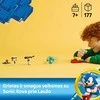 LEGO® Sonic the Hedgehog™: Sonic kova prie laužo 77001