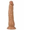 You2Toys Lotynų kalbos mylėtojas