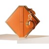LOCKINK Mysterious Square Kink Bag Brown - Discreet Multi-Compartment Set