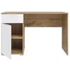 BRW ZELE biuro stalas BIU/120