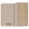 Liveo Pakabinama spintelė PATI PK10/G60NW90 kampinė L/P