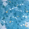 Jerry Fabrics Frozen 2 "Family" Vaikiškas patalynės komplektas, 160x200 cm + 70x80 cm