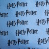 Patalynė bawełniana 140x200 Harry Potter lokomotywa 8513 poszewka 70x90 młodzieżowa