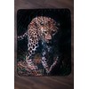 Pledas Leopardas 120 x 150 cm