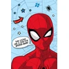 Kocyk su mikrofibry 100x150 Spider-man mėlyna raudona JF23