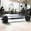 2-in-1 hantelių ir štangos rinkinys 20 kg Juoda ir mėlyna