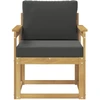 Lauko sofa Poliesteris Balta ir antracito