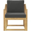 Lauko sofa Poliesteris Balta ir antracito