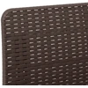 2-Vietis Sodo Sofas, Atrodo kaip Ratano PP Ruda