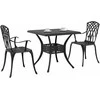 Sodo stalo komplektas 3 pcs Juoda Liejamasis aliuminis