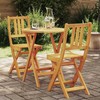 Lauko baldų komplektas Bistro komplektas 3 pcs Natūralus aliejus