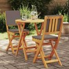 Lauko baldų komplektas Bistro komplektas su pagalve 3 pcs Natūralus aliejus