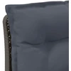 3-vietė sodo sofa su pagalvėlėmis, Rattan išvaizda PP