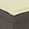 3-vietė sodo sofa su pagalvėlėmis, Rattan išvaizda PP