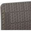 3-vietė sodo sofa su pagalvėlėmis, Rattan išvaizda PP
