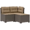 3-vietė sodo sofa su pagalvėlėmis, Rattan išvaizda PP