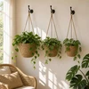 3 vnt. Natūrali Ø26 x 19 cm 100% Jūros žolė