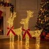 3D Kalėdų elnias LOVIISA 2 vnt. 80 LED Šilta balta