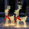 3D Kalėdų elnias LOVIISA 2 vnt. 80 LED Šilta balta