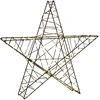 3D Kalėdų žvaigždė 120 LED Šilta balta 55 x 53,5 x 10 cm