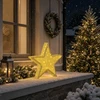 3D Kalėdų žvaigždė 50 LED Šilta balta 55 x 53,5 x 10 cm