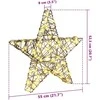 3D žvaigždė 50 LED Šilta balta 55 x 52.5 x 9 cm Ratanas