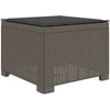 4 Vietų Sodo Sofa su Pagalvėlėmis Ratanų Imitacija PP