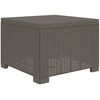 4 Vietų Sodo Sofa su Pagalvėlėmis Ratanų Imitacija PP