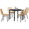 Sodo valgomojo komplektas 5 pcs Ruda