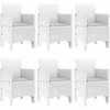 Lauko baldų komplektas Sodo valgomojo komplektas 7 pcs Balta Polt ratanas