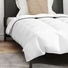 Žiemos antklodė su pagalve 2 pcs Balta Plunksna
