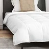 Patalynės komplektas 2-in-1 Antklodė su pagalve 2 pcs Balta Plunksna