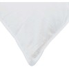 2-in-1 Antklodė su pagalve 2 pcs Balta Plunksna