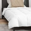 Patalynės komplektas 2-in-1 Antklodė su pagalve 2 pcs Balta Plunksna