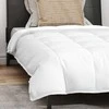 2-in-1 Antklodė su pagalve 2 pcs Balta Plunksna
