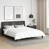 2-in-1 Antklodė Balta 200 x 200 cm Plunksna