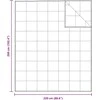 2-in-1 Antklodė Balta 260 x 220 cm Plunksna